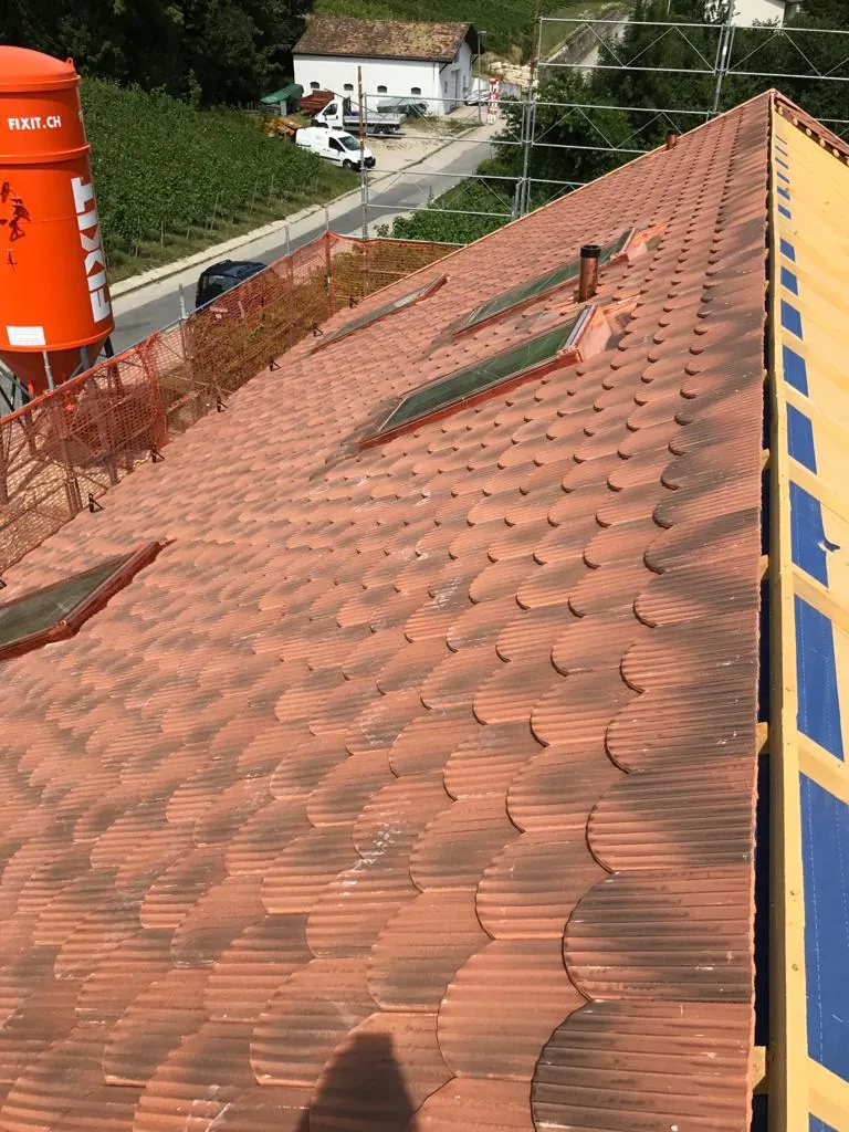Toiture avec fenêtres de toit Velux